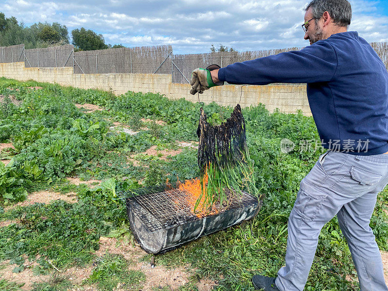 Man cooking ‘calçots’ being grilled over a hot fire at home